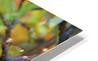 Unwanted HD Metal print