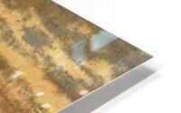 Late Summer Sage HD Metal print