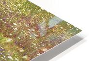 Grassland Flowers HD Metal print