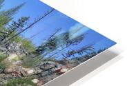 Kettle Valley Railway HD Metal print
