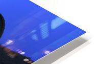 Tiny House Living HD Metal print