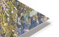Downhill Mountain Biking HD Metal print