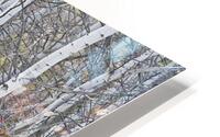 Natures Garden HD Metal print
