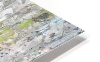 AspensFine Art HD Metal print