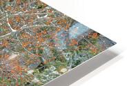 The Gnarley Aspen HD Metal print