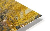 Autumn Conflagration HD Metal print
