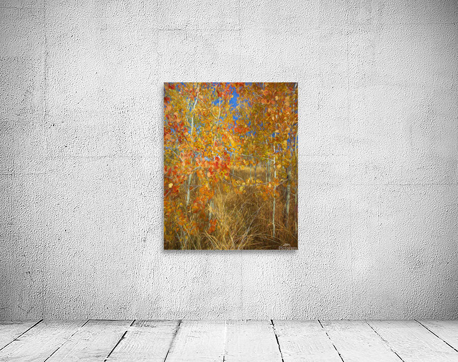 Autumn Aspens Wall Preview