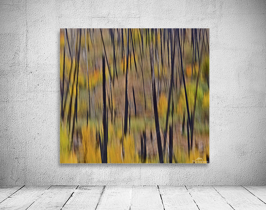 Autumn ICM Wall Preview