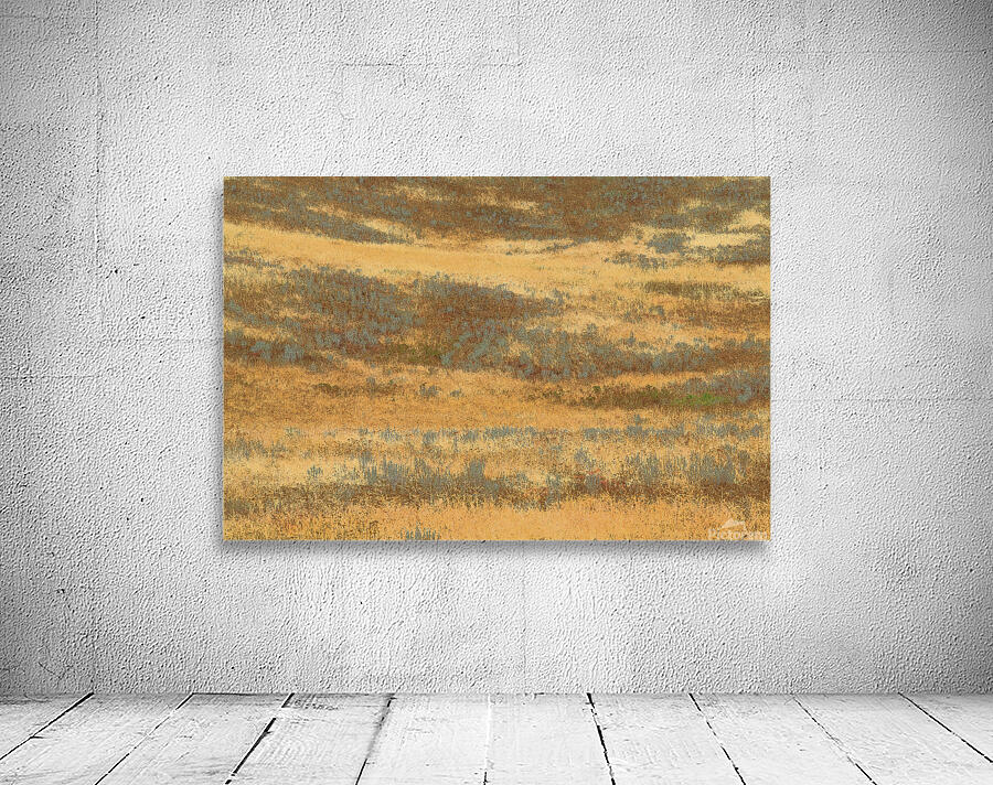 Late Summer Sage Wall Preview