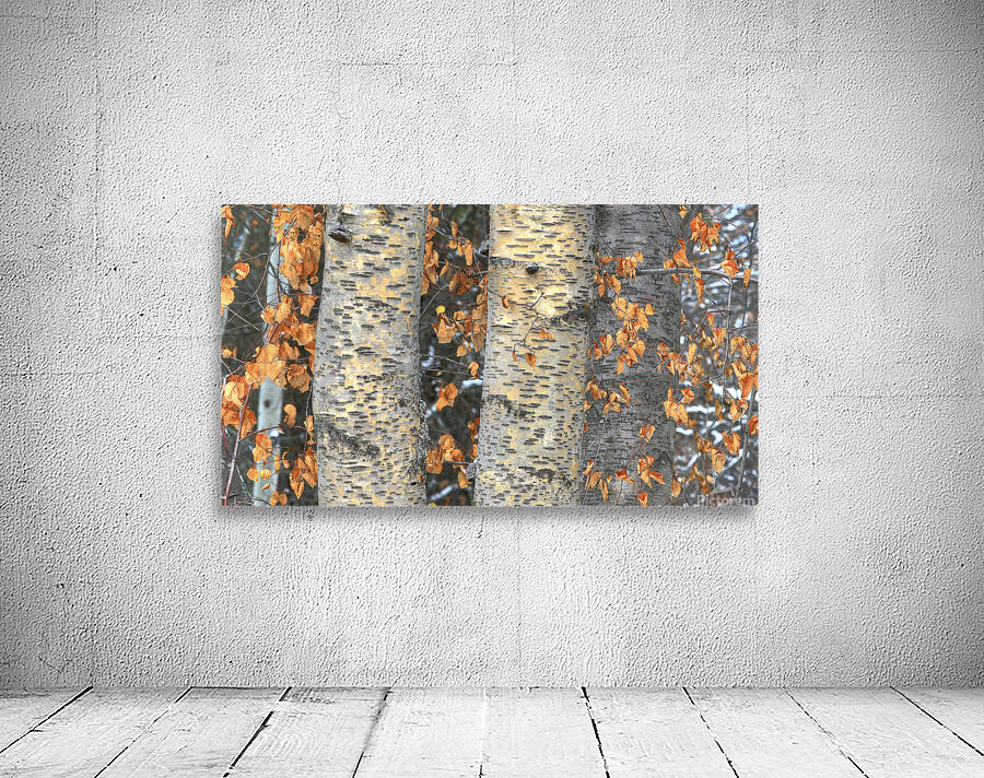 Yellow Aspen Wall Preview