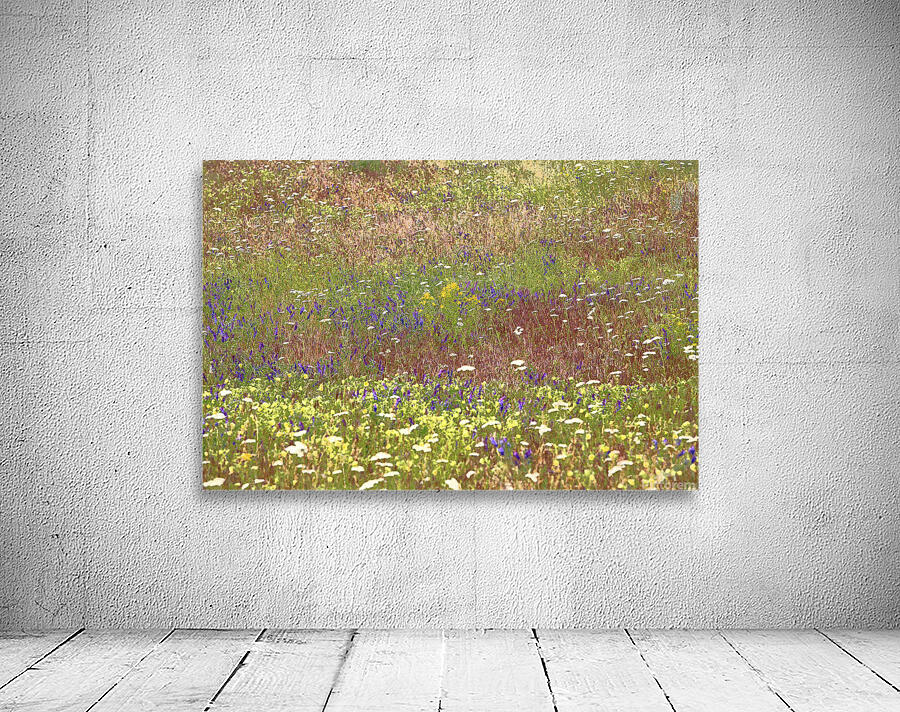 Grassland Flowers Wall Preview