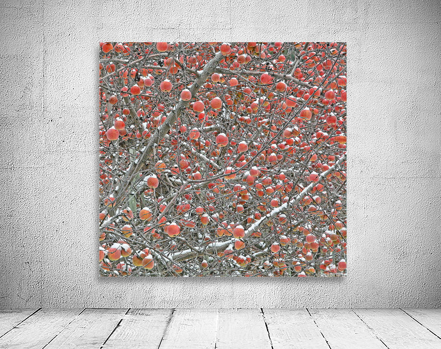 Apple Hats Wall Preview