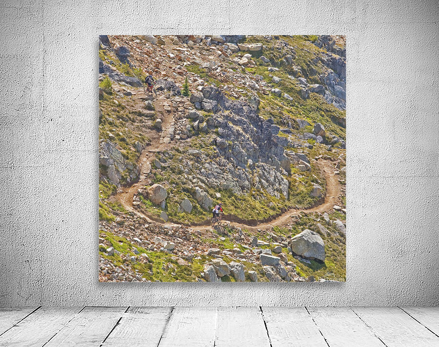 Downhill Mountain Biking Wall Preview