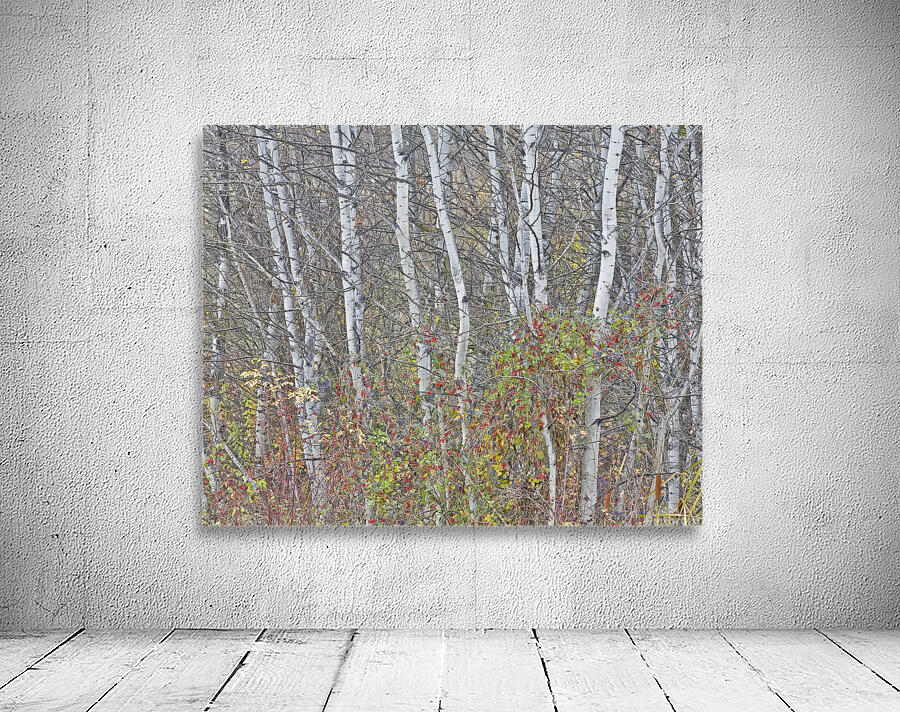 Natures Garden Wall Preview