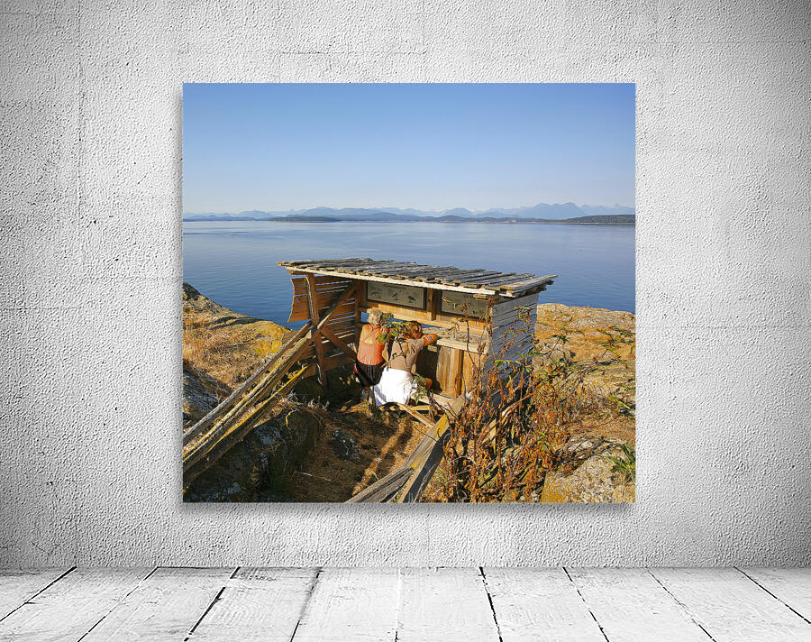 Mitlenatch Island Wall Preview