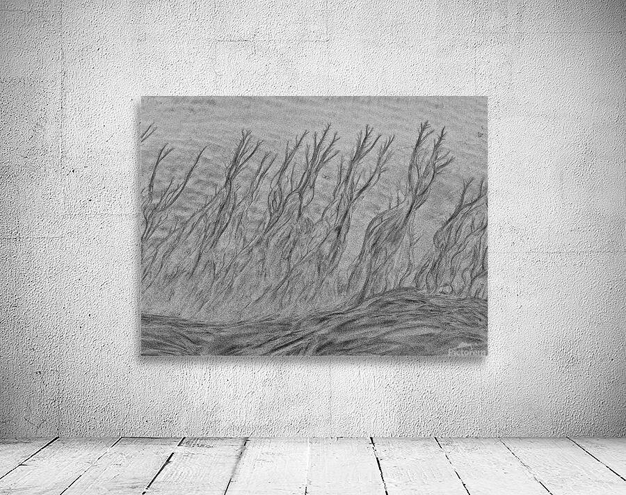 Undercurrent: Sand Art Collection Wall Preview