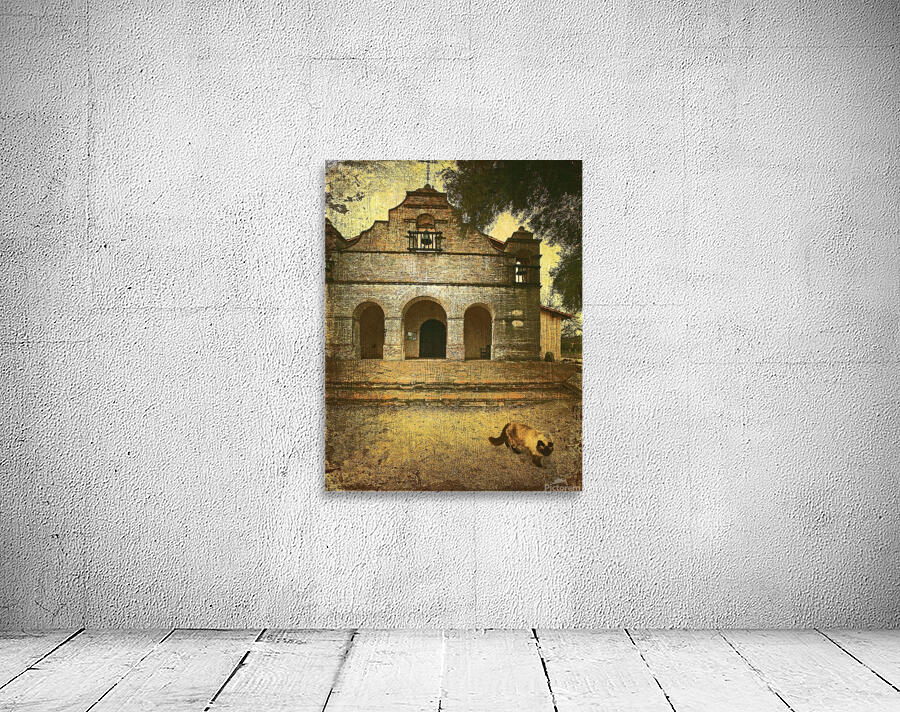 The Missions Cat Wall Preview