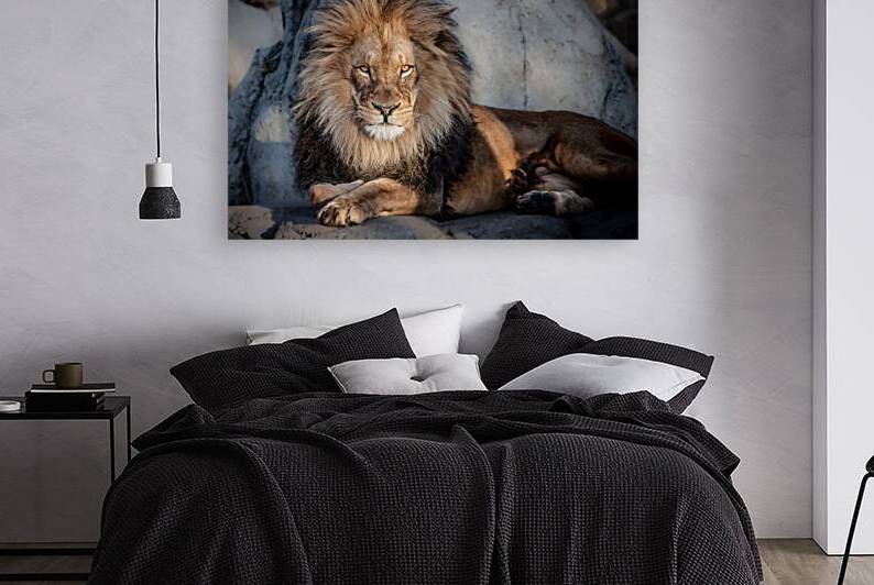 Aslan 2 by Laurie C Munsell Photography