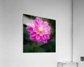 Hers Acrylic Print