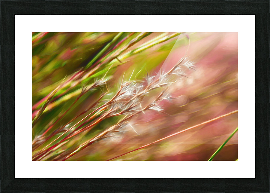 Study2 Picture Frame print