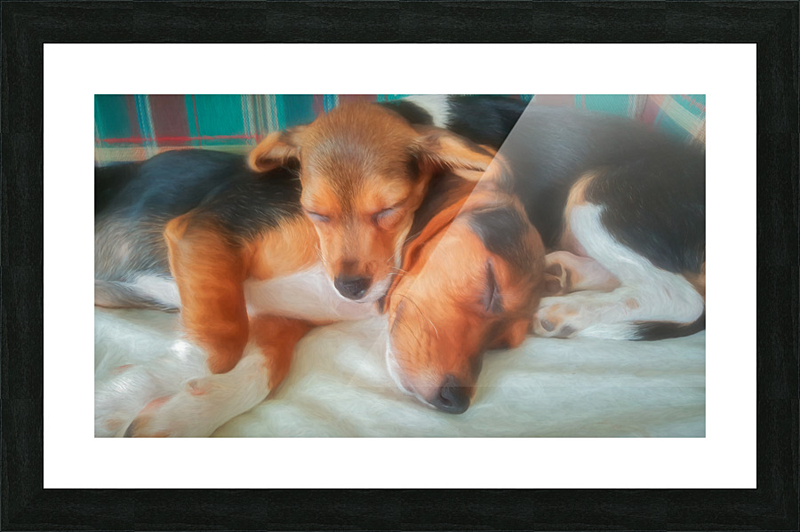 Sisters Picture Frame print