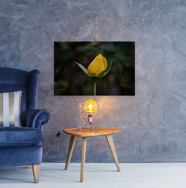 Yellow Rose closed Reproduction