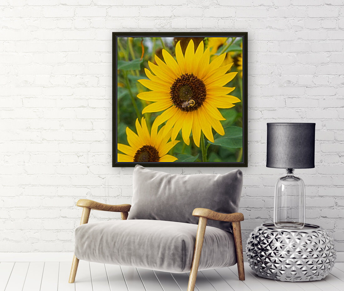 Dancing Sunflowers Reproduction