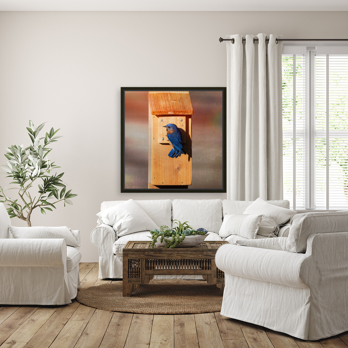 Bluebird Reproduction