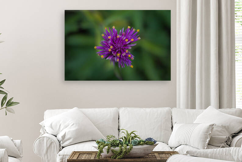 Flower explosion Reproduction