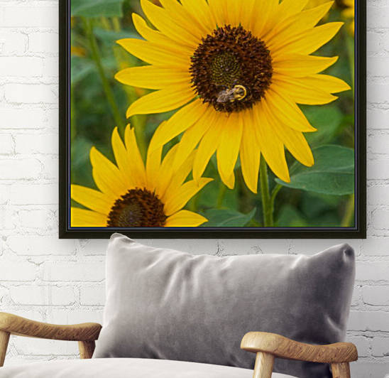 Dancing Sunflowers Reproduction