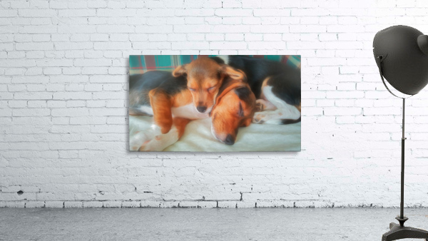 Sisters Wall Preview