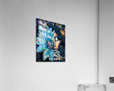 Mysteries Acrylic Print