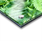 Verdant Beauty  Acrylic print