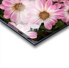 Pinkalicious Acrylic print