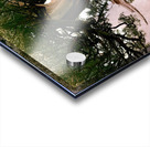 Miniature Giant Acrylic print