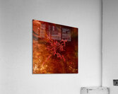 Lava Flow Acrylic Print