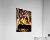 Smores Acrylic Print