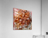 Smoke and Ashes Acrylic Print