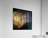 Light and Darkness Acrylic Print