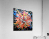 Regal Expanse Acrylic Print