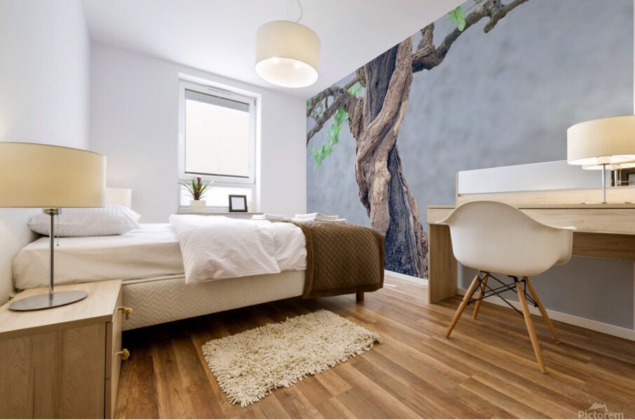 Twisted Bonsai Mural print