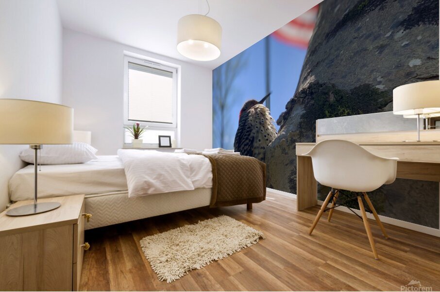 Freedom Mural print