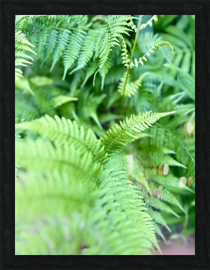 Verdant Beauty  Picture Frame print