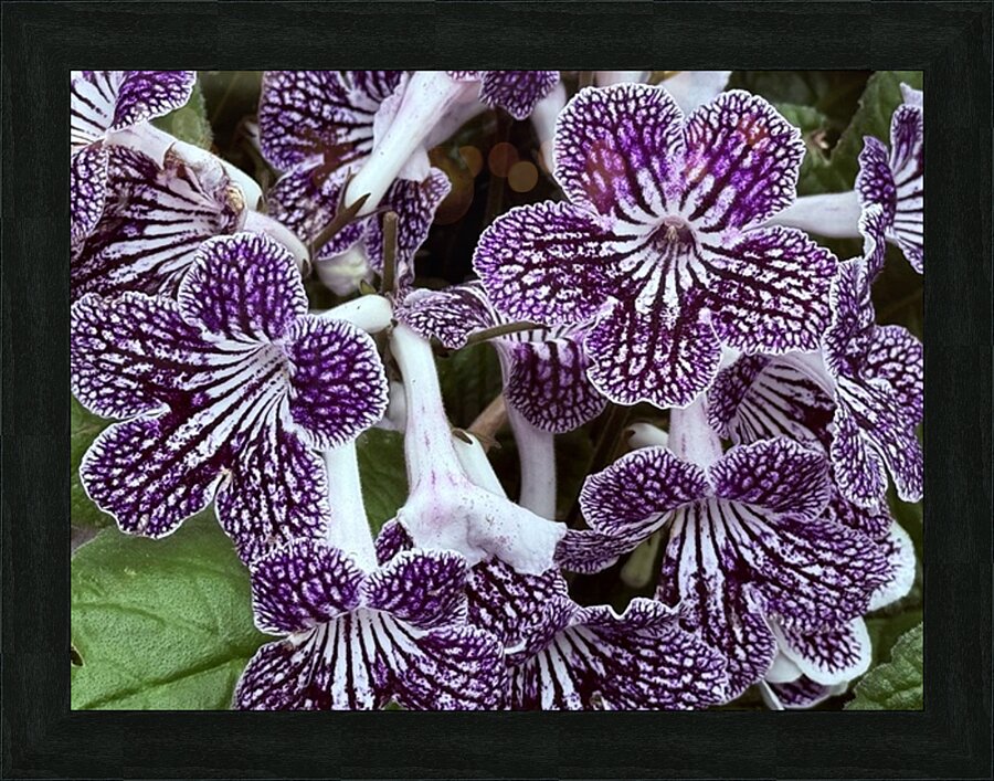 Spring’s bloom Picture Frame print