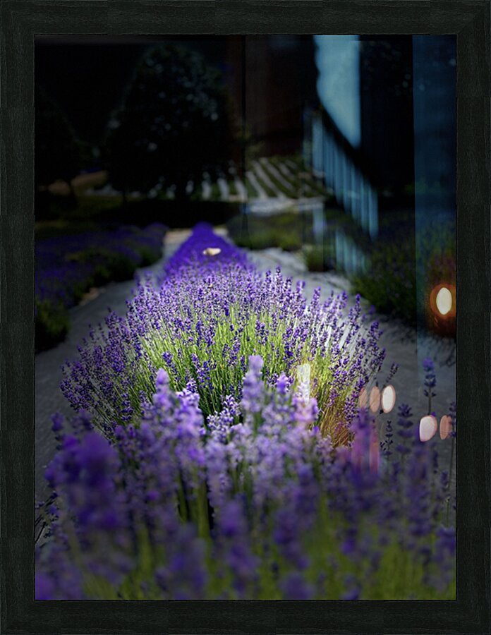 Fragrant Paradise Picture Frame print