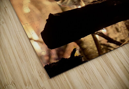 Smores Ben Pettus puzzle