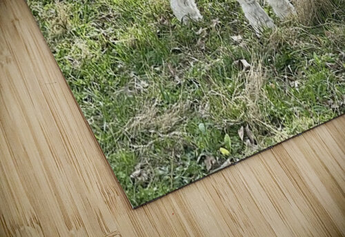 New life Ben Pettus puzzle
