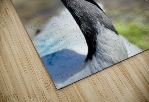 Red crowned crane Ben Pettus puzzle