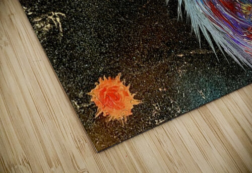 Dimensional shift Ben Pettus puzzle
