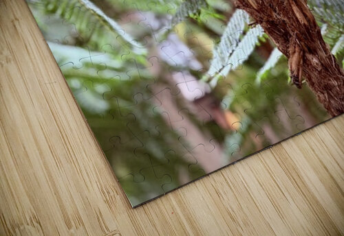 Sprouting life Ben Pettus puzzle